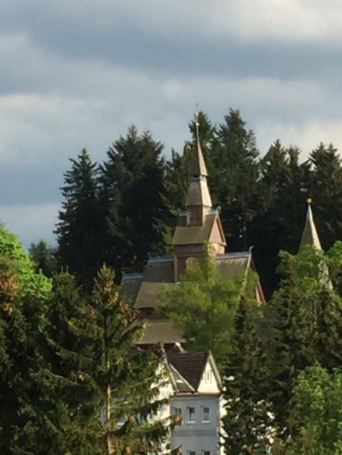 Seesicht Appartements Am Kranichsee Goslar Zewnętrze zdjęcie
