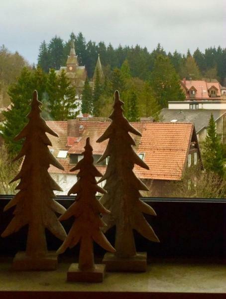 Seesicht Appartements Am Kranichsee Goslar Zewnętrze zdjęcie