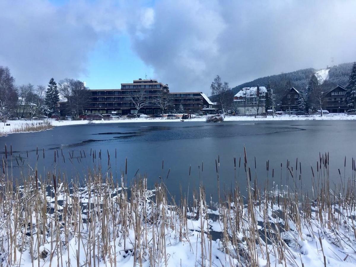 Seesicht Appartements Am Kranichsee Goslar Zewnętrze zdjęcie