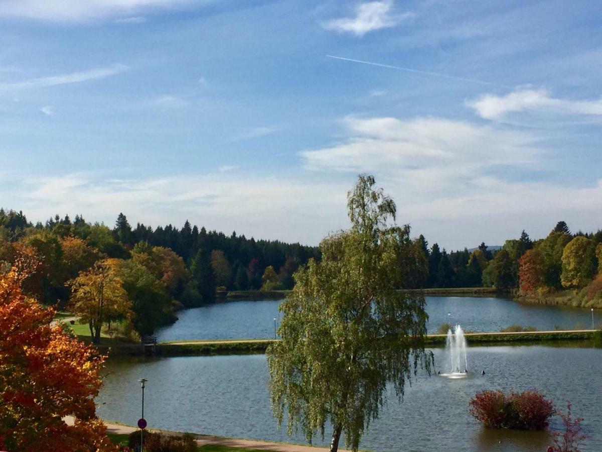 Seesicht Appartements Am Kranichsee Goslar Zewnętrze zdjęcie